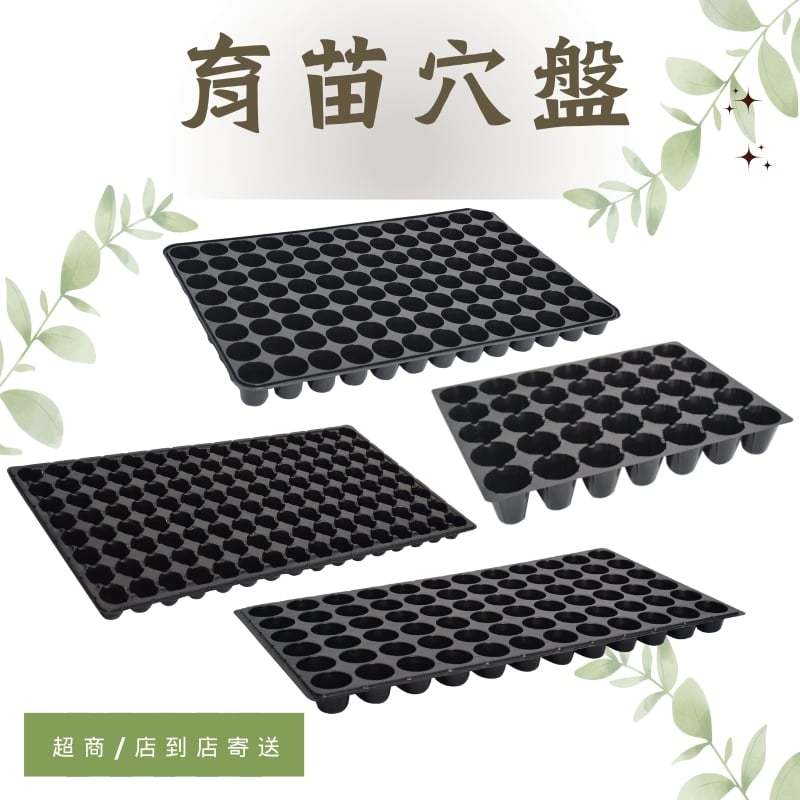 播種盤 醬米資材899免運】育苗專用穴盤35孔72孔播苗盤發芽盤栽培盤穴盤育苗盤