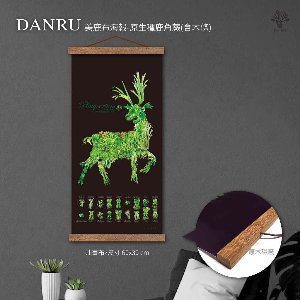 DANRU美鹿布海報-原生種鹿角蕨 | 蝦皮購物