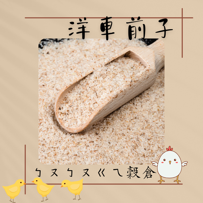 洋車前子- 車前子 沖泡飲品 中藥 | 蝦皮購物