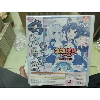 ネコぱら- 優惠推薦- 2025年12月| 蝦皮購物台灣