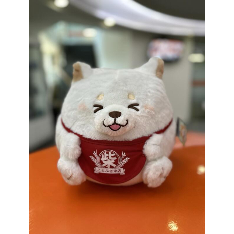 忠犬もちしば- 優惠推薦- 2025年4月| 蝦皮購物台灣