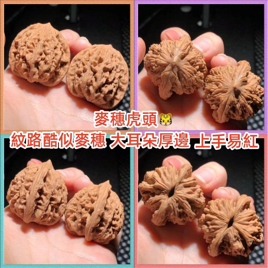【東京文玩育成】文玩核桃 山地老樹 白獅子 皮質良い 育成3年目 東京文玩育成】文玩核桃 麦穂虎頭 【公式通販】