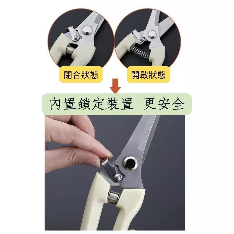 麗加-園藝資材-園藝剪刀-多肉砍頭、修剪可用 彎頭 彎頭剪 修枝剪 果樹剪刀 樹枝剪刀 花木剪刀 實惠、實用工具 | 蝦皮購物