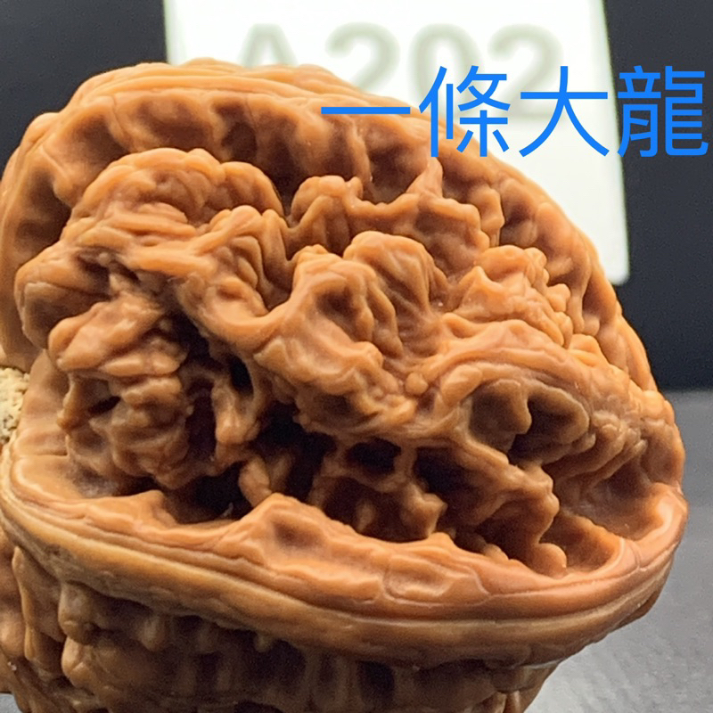 文玩核桃大尺寸大粗筋48/49/43機刷打底有修#202 | 蝦皮購物