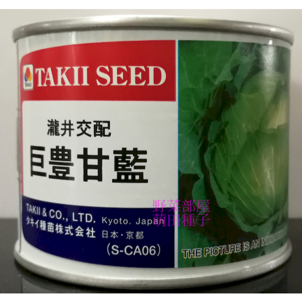 【萌田種子~優惠價種子】E85 巨豐甘藍種子 , 緊實度佳 , 數量有限 , 高麗菜種子~ | 蝦皮購物