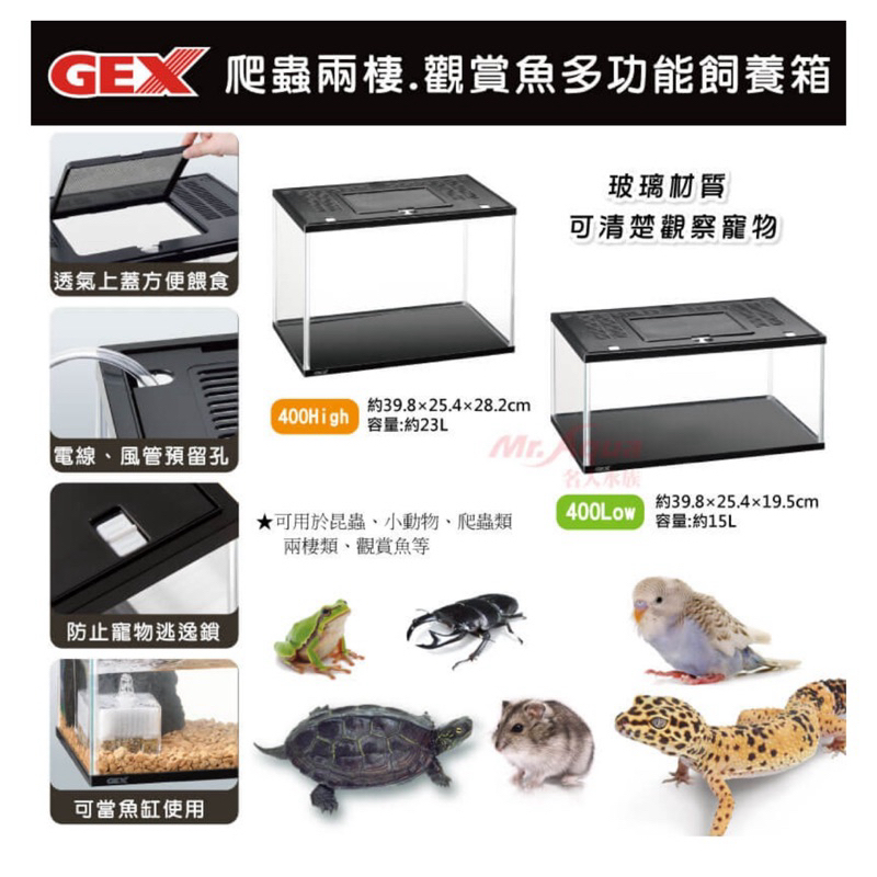 ［水族最便宜］GEX 兩棲爬蟲 觀賞魚缸 多功能飼養箱 烏龜缸 爬蟲缸 蜥蜴 甲蟲 寵物鼠 角蛙 青蛙 寵物鳥籠