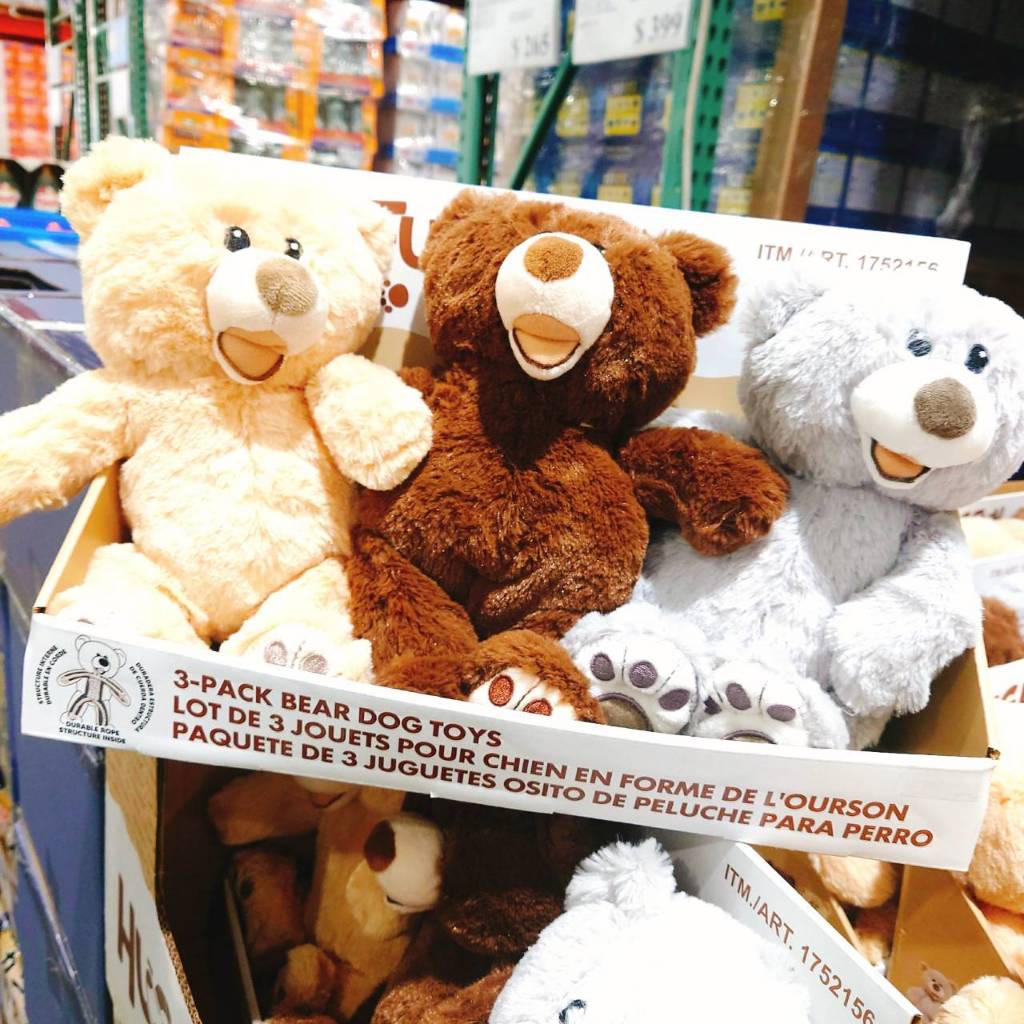 COSTCO 好市多 Hugfun 泰迪熊造型寵物玩具 3入組 泰迪熊 寵物 啾啾球 減壓玩具 狗玩具 熊熊 小熊 玩耍 | 蝦皮購物