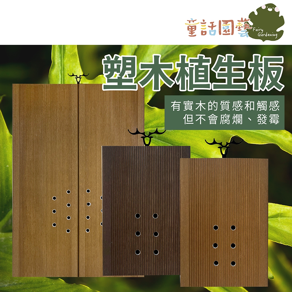 【全館590免運】植物寶盒-塑木植生板 鹿角蕨蘭花植板 防腐 環保 抑菌 鹿角蕨 蕨類 蝴蝶蘭 觀葉 上板 植板 水苔 | 蝦皮購物