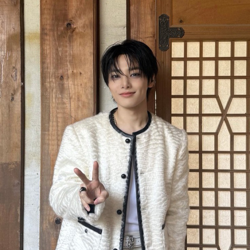（4/2更新）【Stray Kids】「梁精寅」SKZ I.N 寅 專卡 小卡 特典 | 蝦皮購物