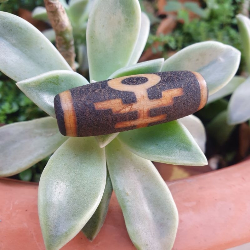 火供天珠Zi1226龍六40×14蓮師法帽39.6×13.7.貴人38.6×13.7.裸珠出。札