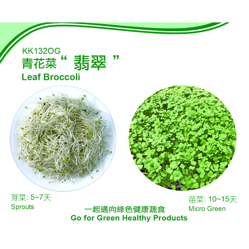 【萌田種子~】Q06 青花菜芽菜種子 綠花椰菜種子 富含豐富花青素 蝦皮店到店免運費~ | 蝦皮購物
