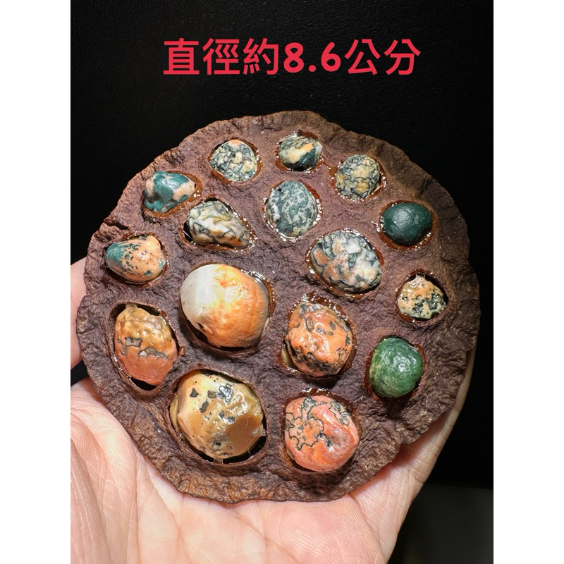 阿拉善。蒙古。戈壁石。戈壁瑪瑙。草花瑪瑙。錢幣石。筋脈石
