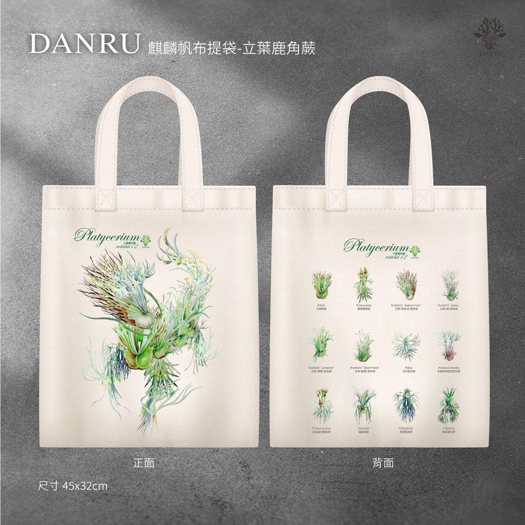 DANRU麒麟帆布提袋-立葉鹿角蕨 | 蝦皮購物