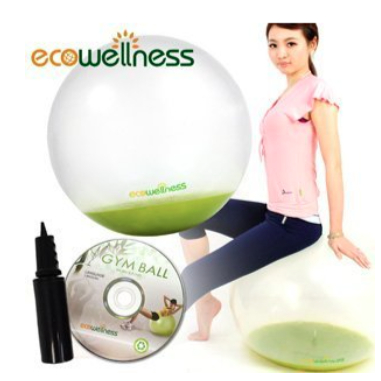 韻律球水晶韻律球C010-001C ecowellness (60cm) 瑜珈球彈力球健身球