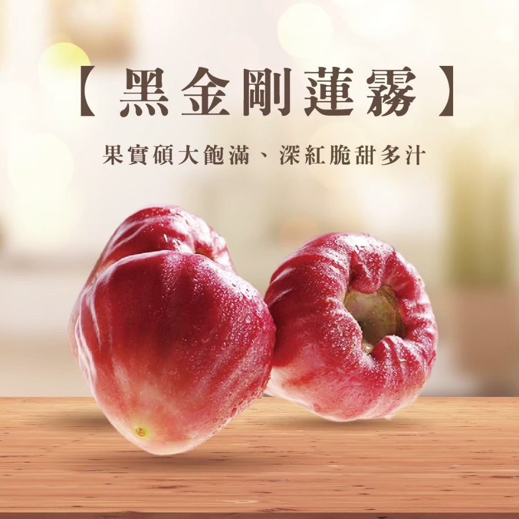 黑金剛蓮霧苗🟡高壓矮化盆栽🟡可快速盆栽產果🟡 蓮霧蓮霧苗樹苗果苗矮