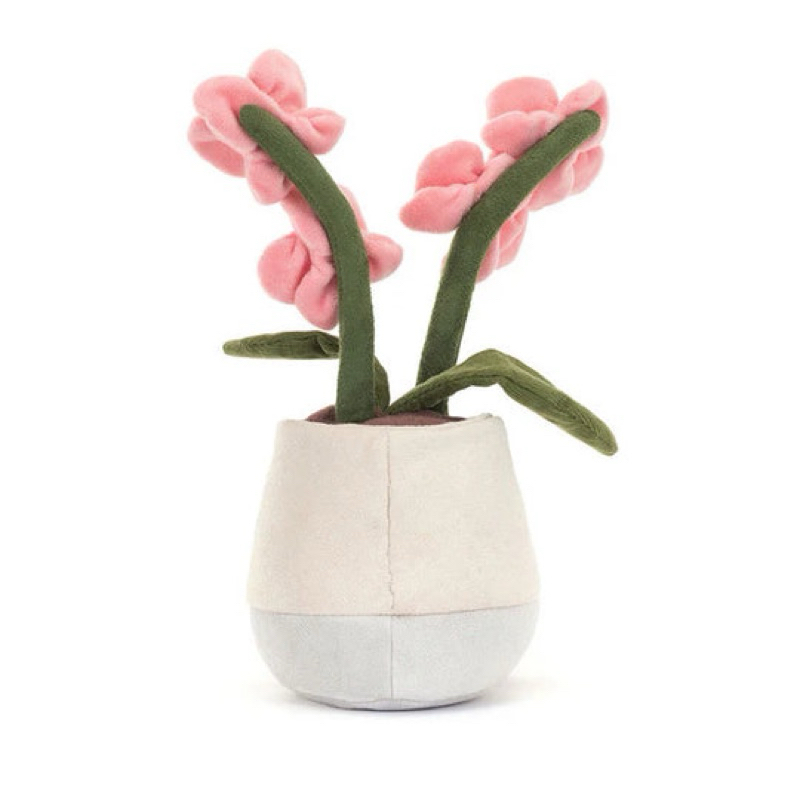 全新Jellycat正品｜粉色蘭花盆栽蘭花娃娃🪴 Jellycat Amuseables Pink