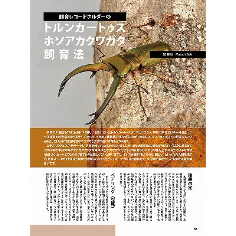 現貨> 日本Bekuwa 甲蟲雜誌No.93 第24回鍬形蟲飼育紀錄大特輯獨 現貨> 日本Bekuwa 甲蟲雜誌No.93 第24回鍬形蟲飼育紀錄大特輯獨