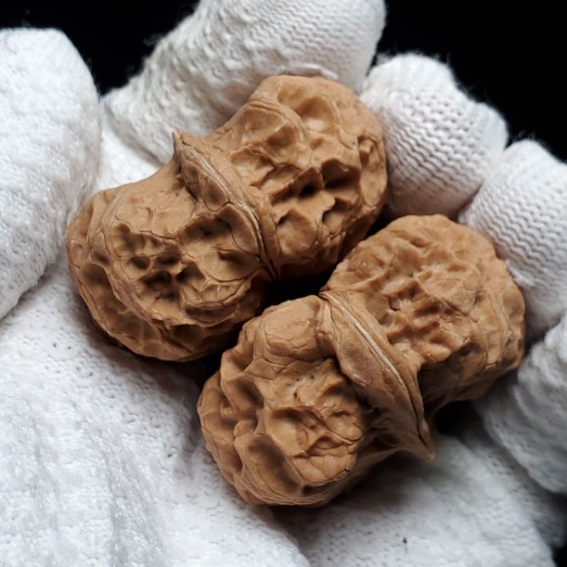 媽我在玩的不是吃的核桃啦, 線上商店| 蝦皮購物
