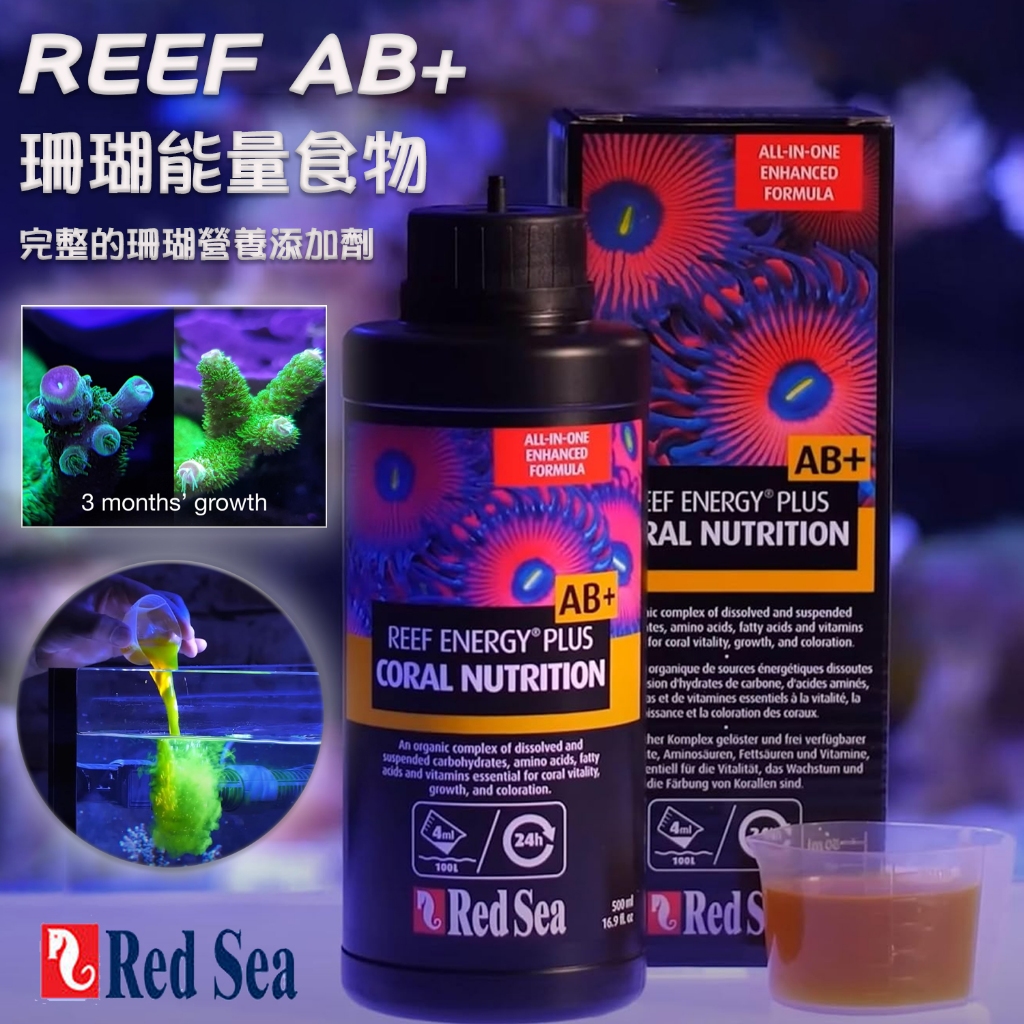 ab+ - 優惠推薦 - 2026年7月 | 蝦皮購物台灣