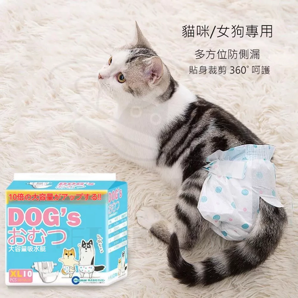 貓尿布推薦：6款實用尿布，解決貓主人煩惱！