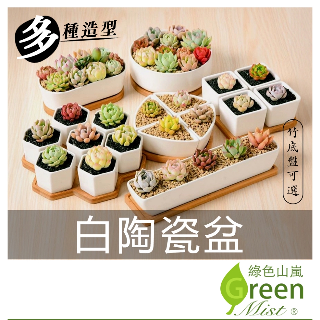 白陶瓷盆 多種造型 竹底盤 托盤 陶瓷花盆 多肉花盆 陶盆 白盆 簡約白陶瓷花盆 水泥盆 白陶瓷盆 白瓷盆【綠色山嵐】 | 蝦皮購物