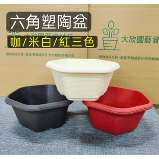 六角花器- 優惠推薦- 2025年12月| 蝦皮購物台灣