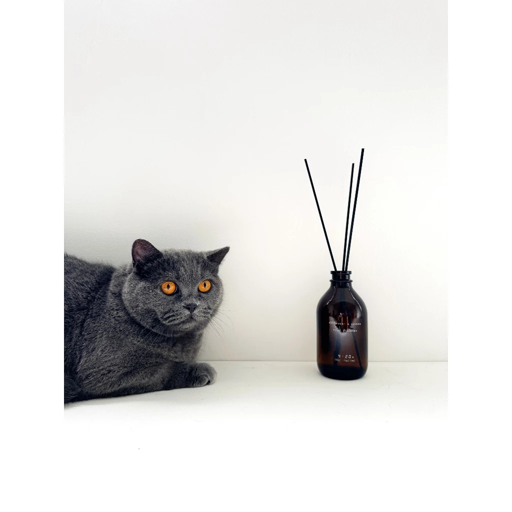 【4:20 vibin lab】reed diffuser 寵物友善 室內精油擴香瓶 無火香薫 無火香氛