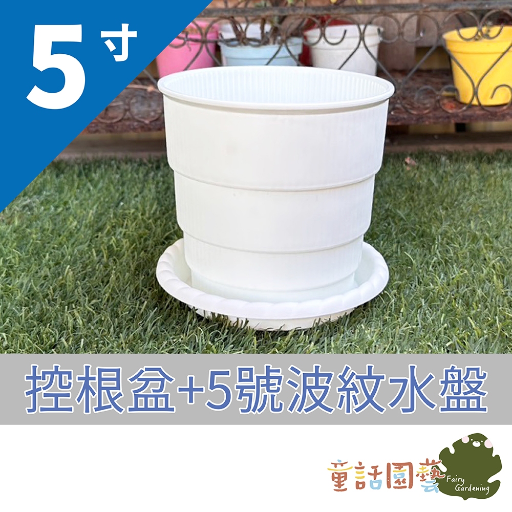 【花園夢想家】白色圓階控根盆 5寸 6寸 7寸 9寸 1尺 控根 美蒔 透氣花盆 透水 觀葉 多肉植物 各類花卉 | 蝦皮購物