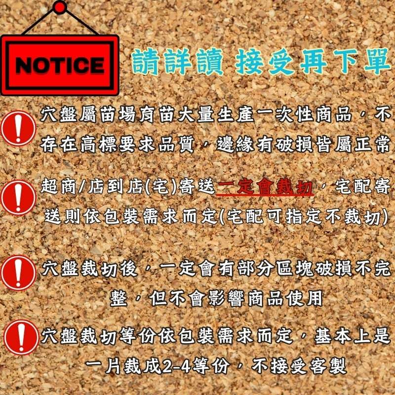 醬米資材899免運】育苗專用穴盤35孔72孔播苗盤發芽盤栽培盤穴盤育苗盤