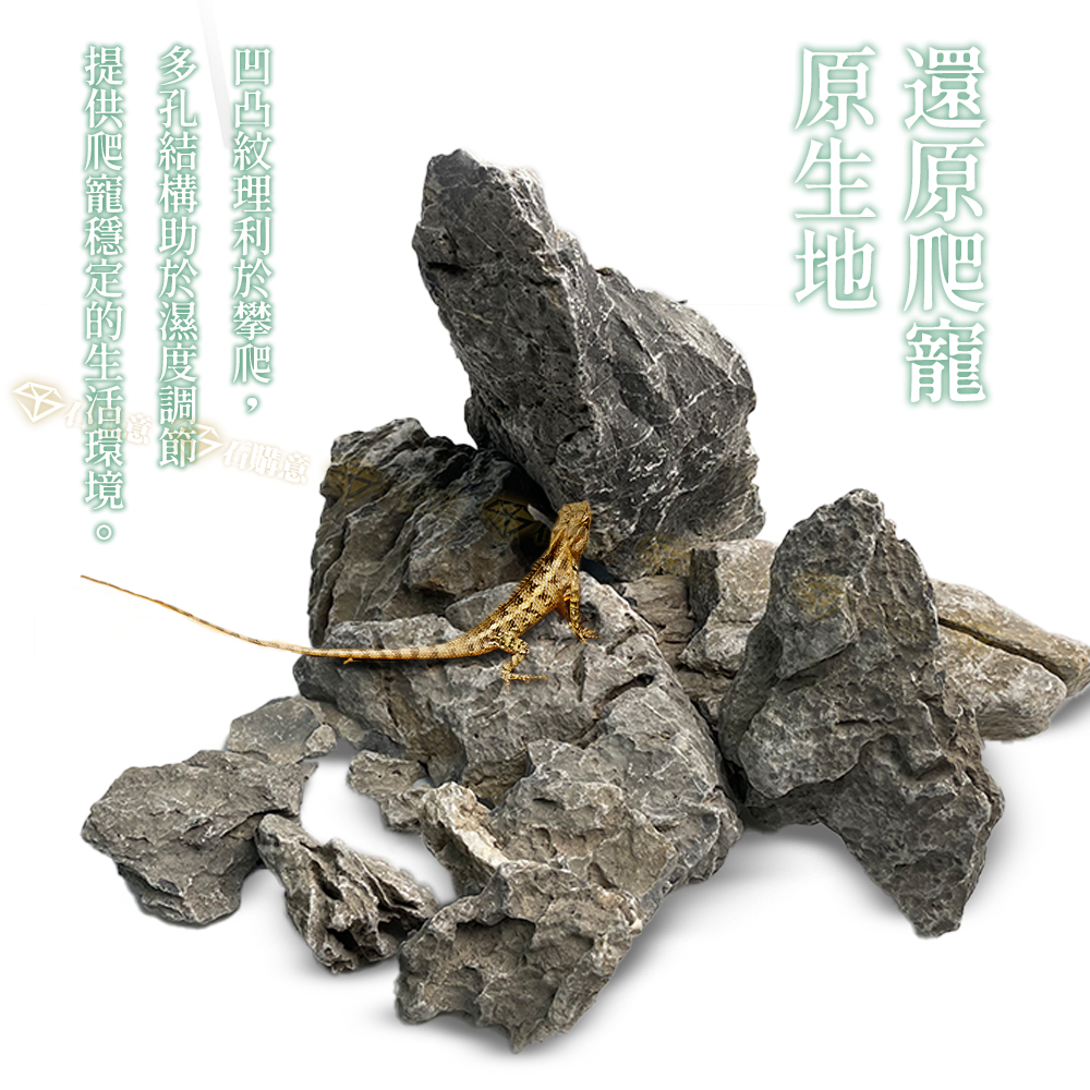 🔸青龍石🔸1kg單位💎石購意✨水族首選✨ 石頭石自然石天然洞石魚缸造景