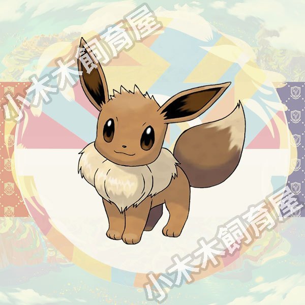 【小木木飼育屋】寶可夢日的伊布 永旺夢樂城的伊布 最強的伊布 生日的伊布《 Let's Go！皮卡丘》的伊布 寶可夢 | 蝦皮購物