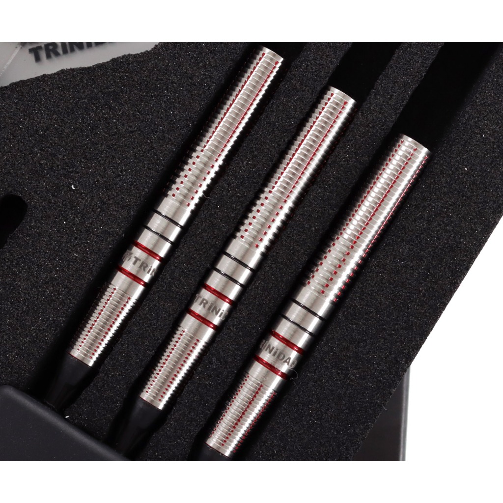 TRiNiDAD】HUGO Hugo Leung Model S-DARTS 限定2BA 飛鏢鏢身DARTS