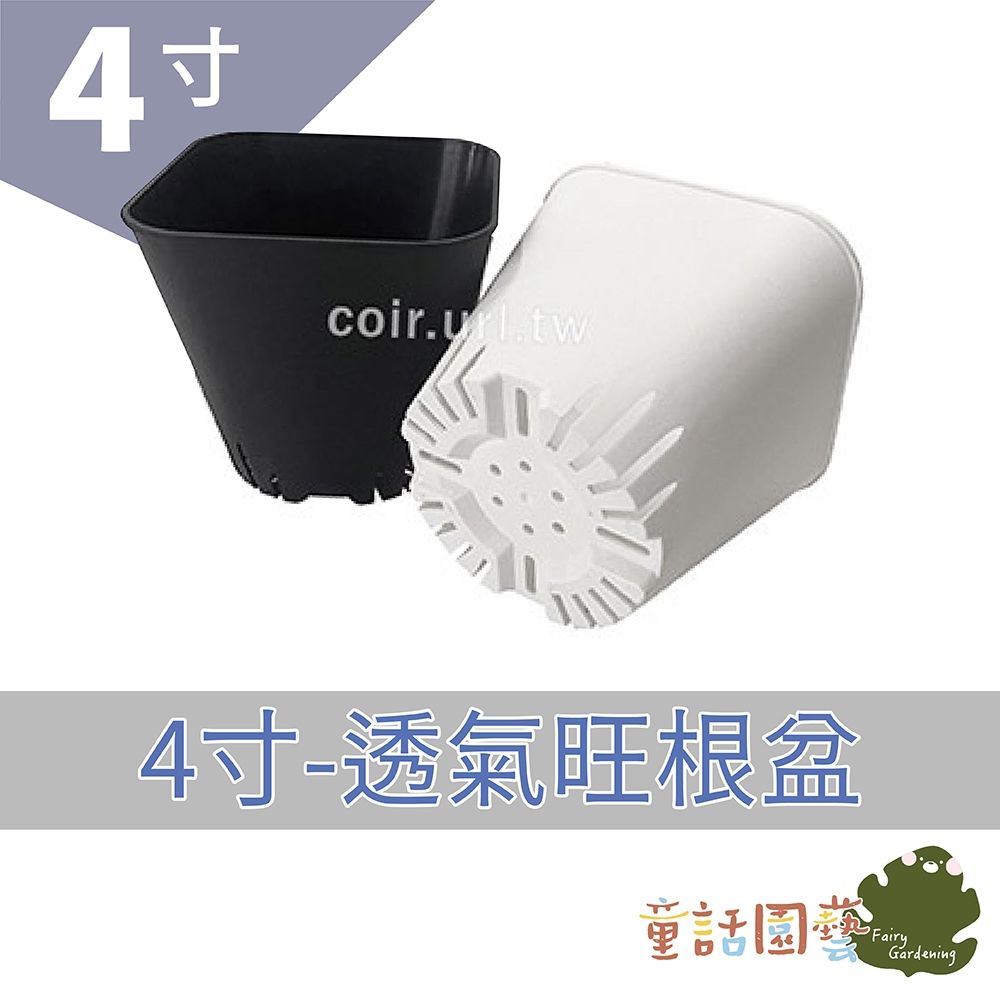 【蝦皮園藝】 透氣旺根盆 栽培花盆 3寸 4寸 5寸 適合仙人掌多肉植物 小型木本盆栽 木本小苗 花卉 小品盆栽 | 蝦皮購物