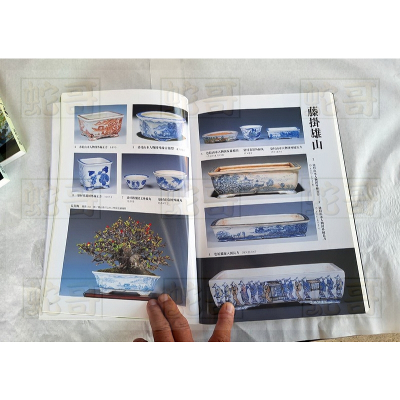 日本盆栽工具書-盆缽大圖鑑(上.中.下三冊) | 蝦皮購物 日本盆栽工具書-盆缽大圖鑑(上.中.下三冊) | 蝦皮購物