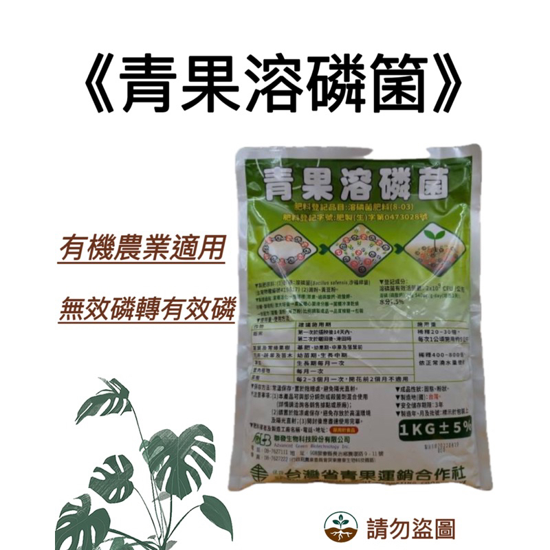 《青果溶磷箘》1KG 聯發溶磷箘 釋放土壤磷元素 幫助植物開根 改善土壤 有機農業適用 果樹及觀景數 | 蝦皮購物