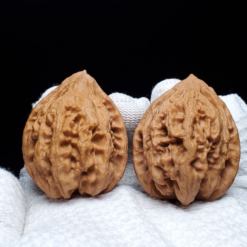 文玩堂：大沽石文玩胡桃（超大型） 大沽石】39mm－小眾麻核桃－現貨/文玩核桃/舒壓保健/收藏玩具－媽我在