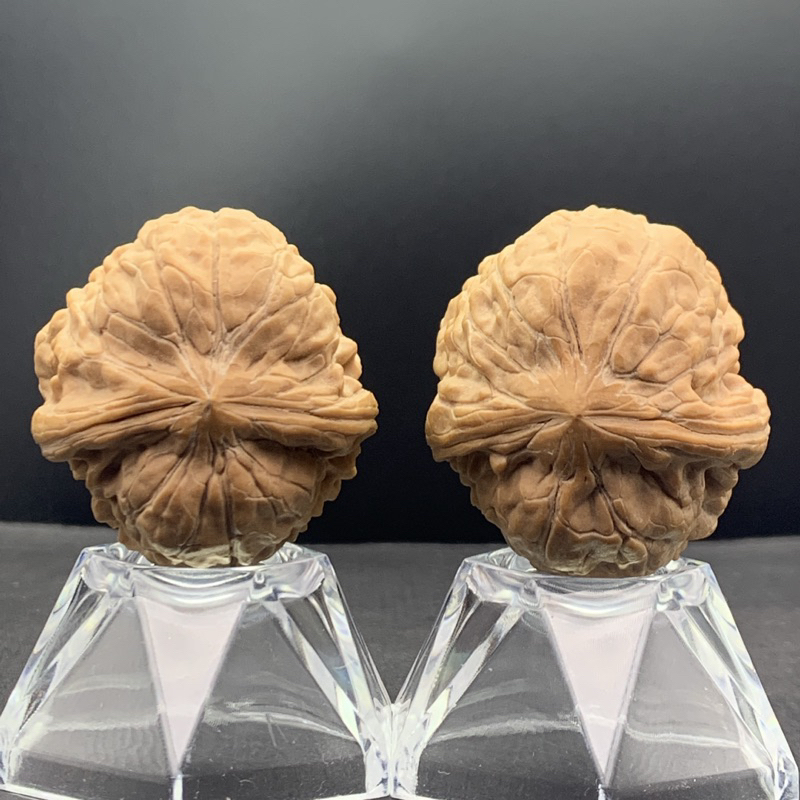 文玩核桃小眾金蟾尊吸金獸35/38/34有修特價| 蝦皮購物