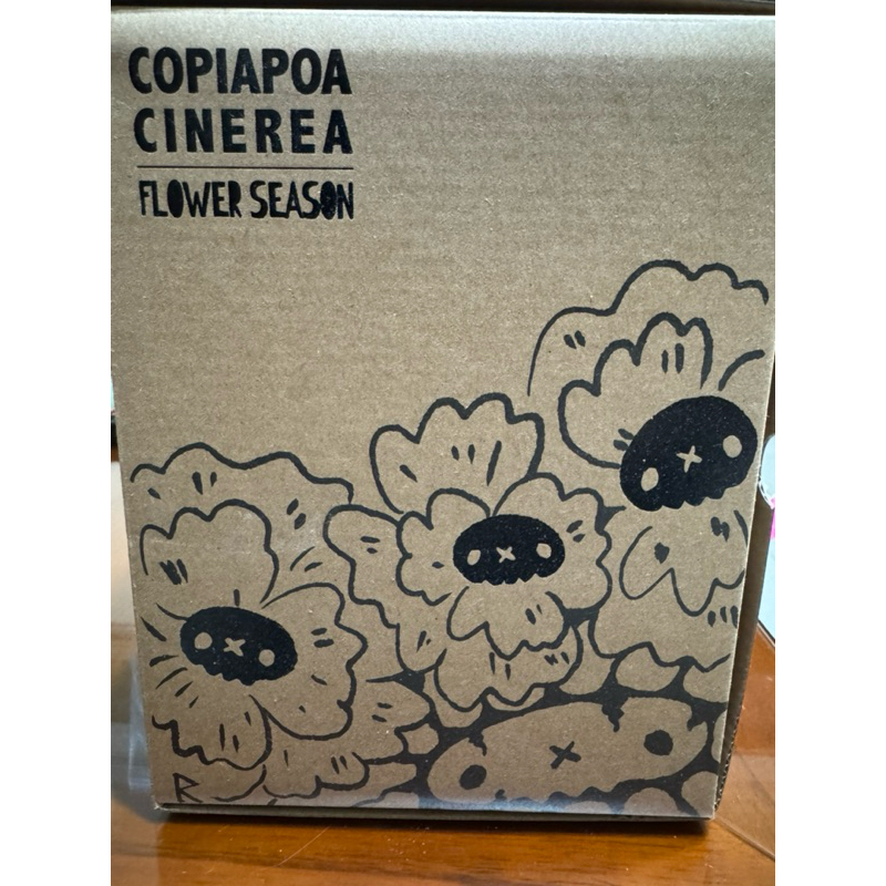 羅本製所 COPIAPOA CINEREA FLOWER SEASON Copiapoa cinerea - World of Succulents