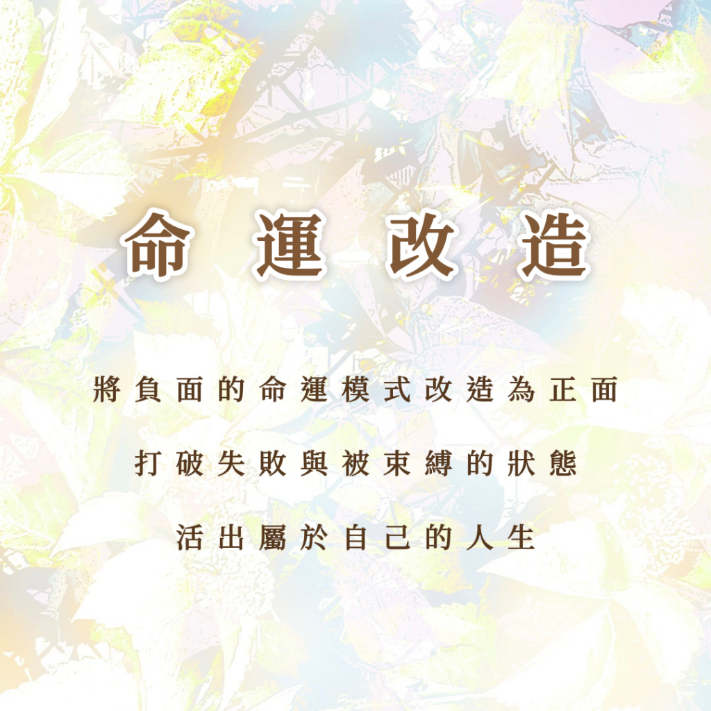 命運改造｜將負面的命運模式改造為正面，打破失敗與被束縛的狀態，活出自己的人生 | 蝦皮購物