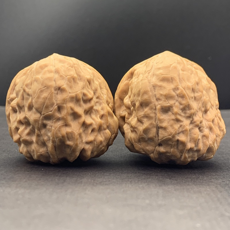 文玩核桃小眾金蟾尊吸金獸35/38/34有修特價| 蝦皮購物