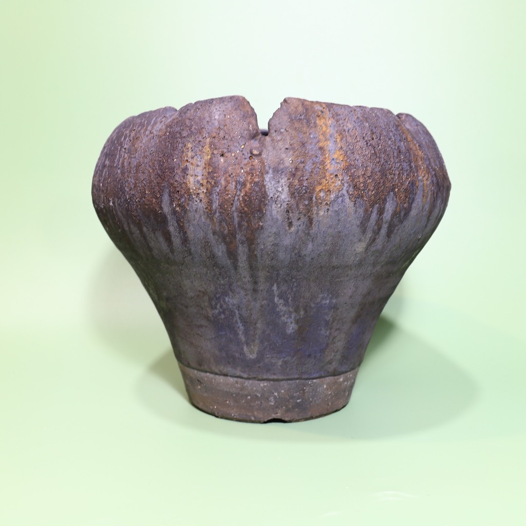 Polaroid雜貨店】♞ 細川政己塊根多肉盆器植木鉢陶器鉢y鉢| 蝦皮購物