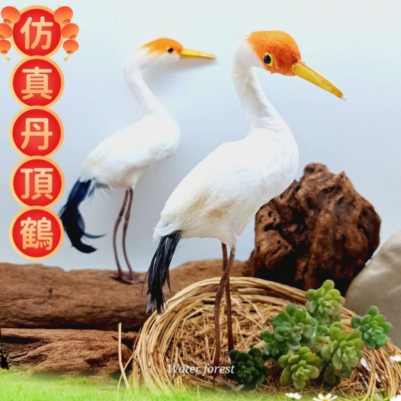 鶴天 鶴頭 稀少品 😍《17公分大尺寸10送2》仿真丹頂鶴仿真鶴白鶴仙鶴假鶴真羽毛手工藝品