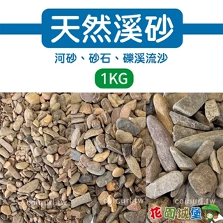 花園 天然溪砂(河砂 砂石 礫溪流沙) 1KG 鋪面石 砵底石 混拌土壤 純天然溪砂 可用於栽培使用