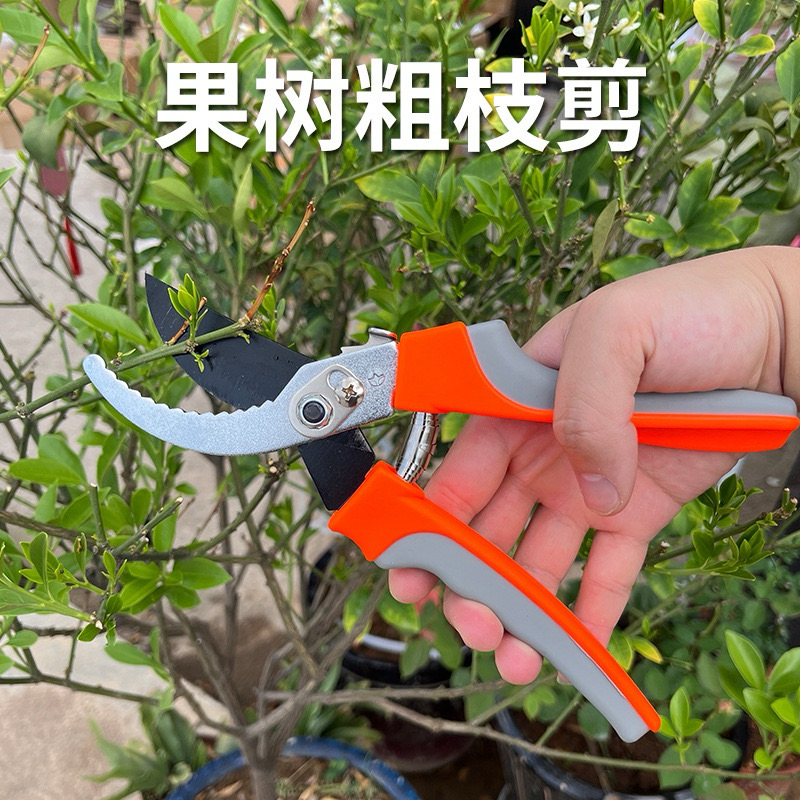 綸輪專業五金用品 園藝剪刀剪花枝修剪樹枝剪刀果枝剪修花剪刀修枝剪刀 | 蝦皮購物