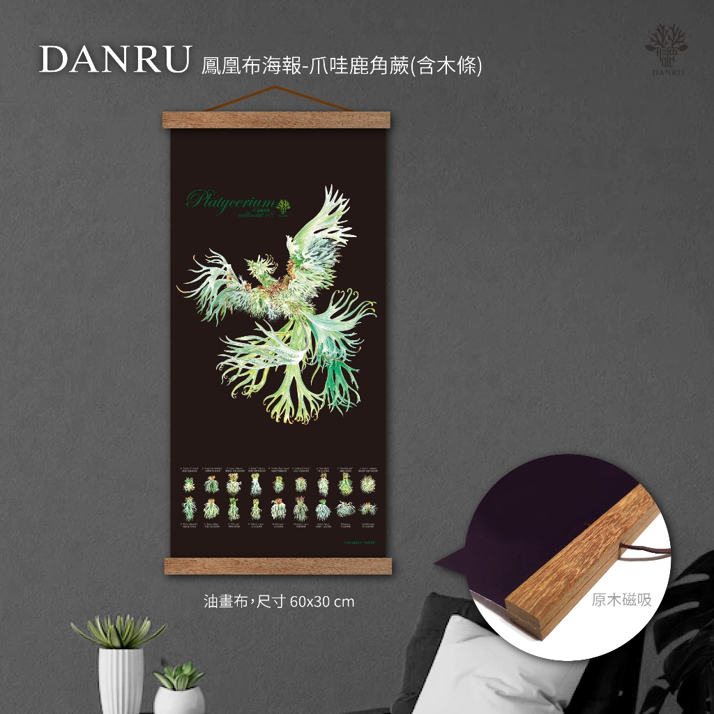 DANRU鳳凰布海報-爪哇鹿角蕨 | 蝦皮購物