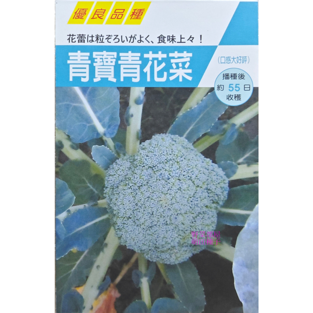 【萌田種子~】E08 青寶青花菜種子 極早生 耐熱 產量高 花椰菜種子 ~ | 蝦皮購物