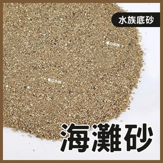 【春日水族】海灘砂 0號 1.5kg 3kg 海灘沙 珊瑚砂 菲律賓砂 底砂 底沙 細砂 天然底砂 海灘沙 造景 裝飾