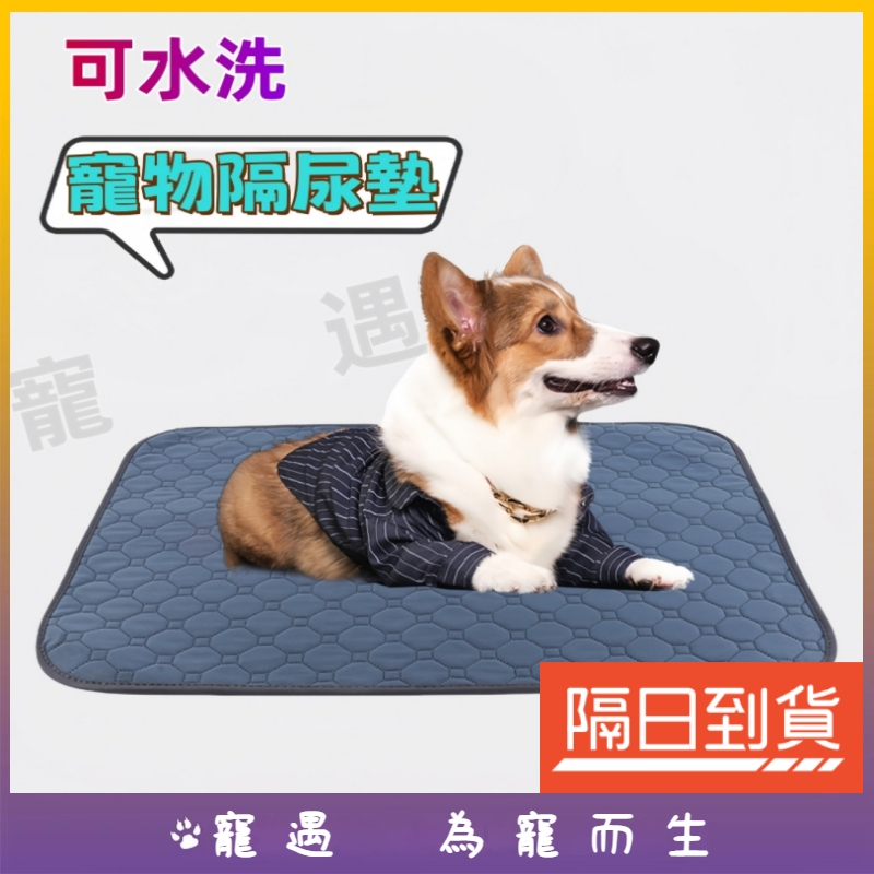 竹炭除臭寵物訓練尿墊