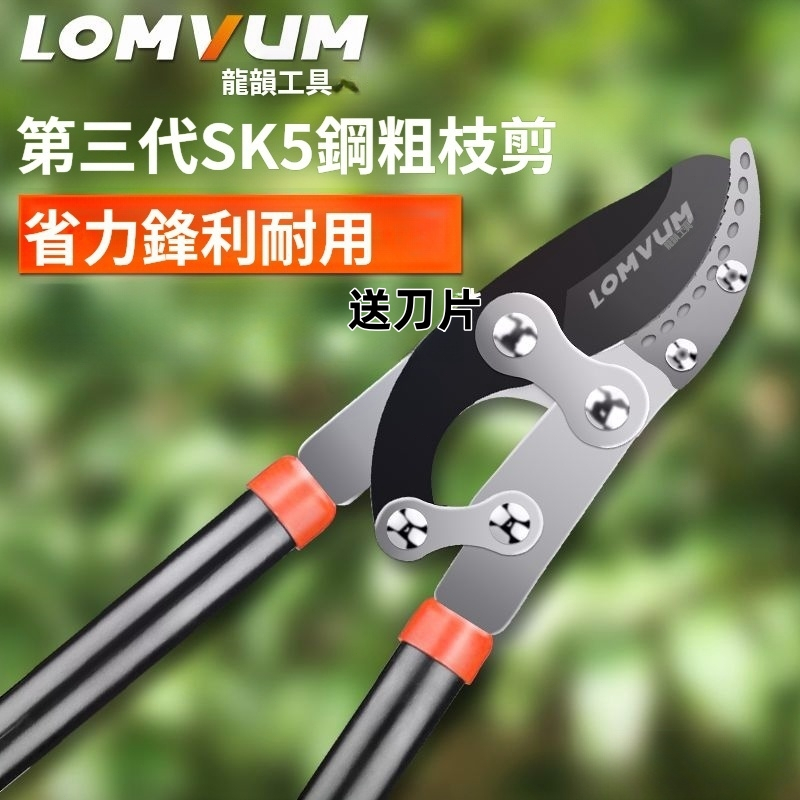 樹枝伸縮高枝剪 伸縮剪枝剪刀 強力修大力粗枝省力 園藝綠化草坪修枝剪 果樹修枝專用樹枝剪 花木修剪園林修剪神器 | 蝦皮購物