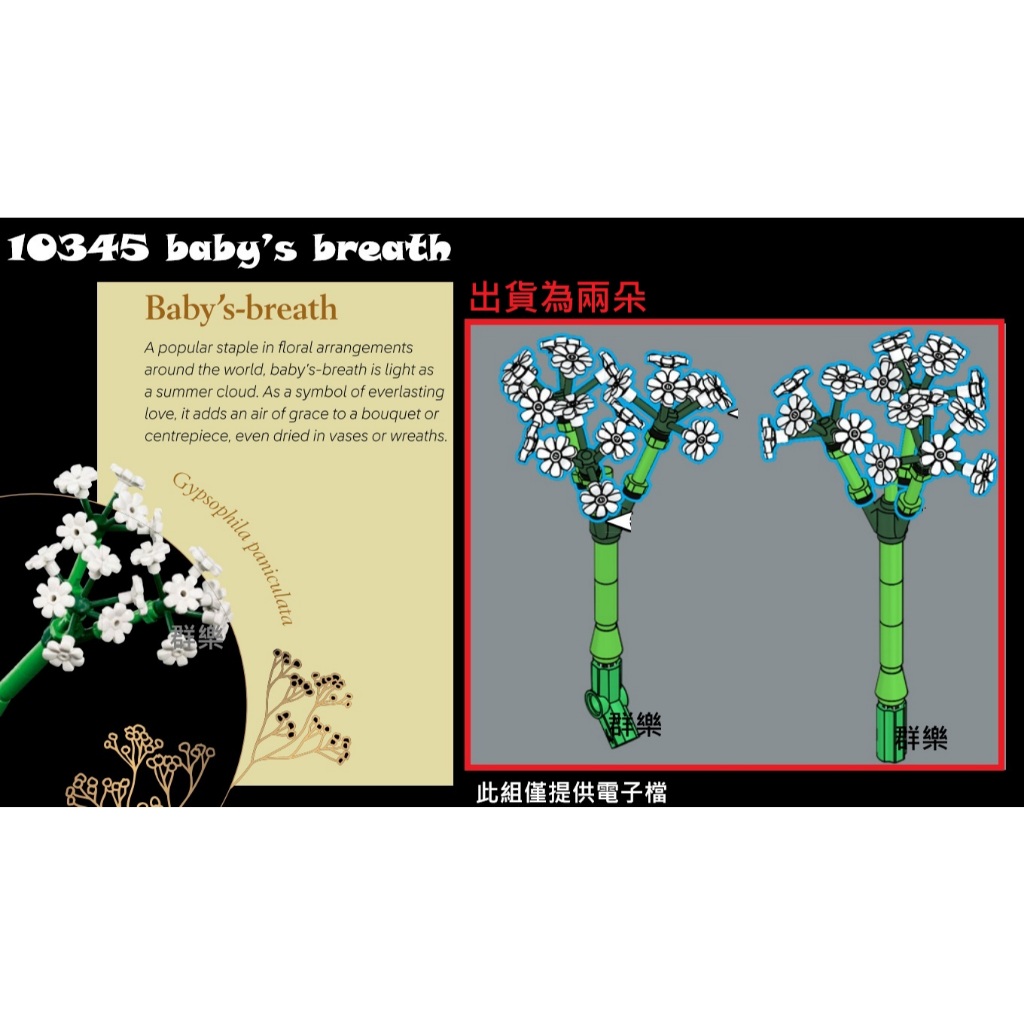 【群樂】LEGO 10345 拆賣 baby’s breath | 蝦皮購物